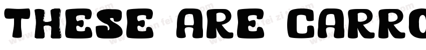 These are carrots字体转换